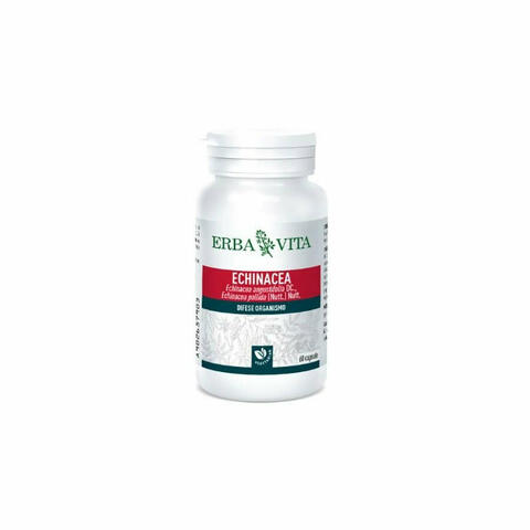 Echinacea 60 Capsule