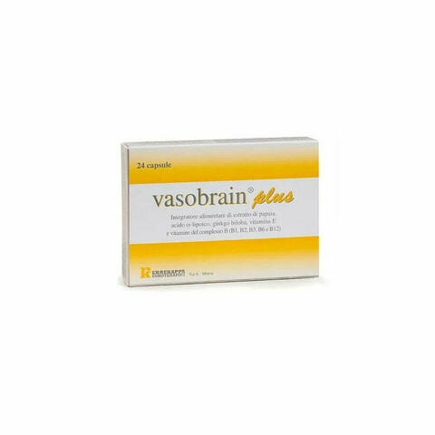 Vasobrain Plus 24 Capsule