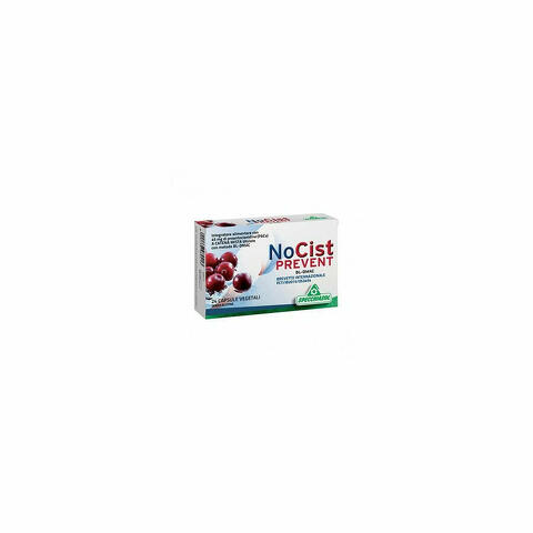 Nocist Prevent 24 Capsule