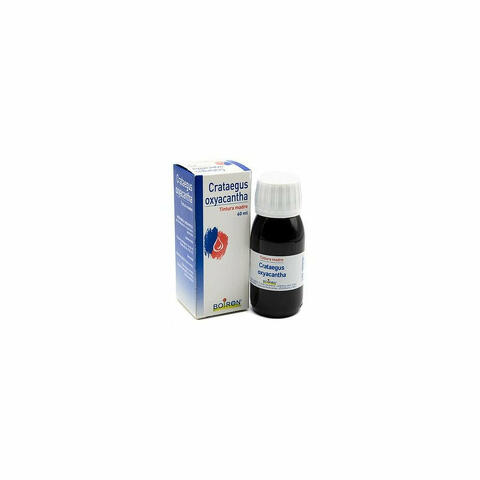 Crataegus Oxyacantha Tintura Madre 60ml