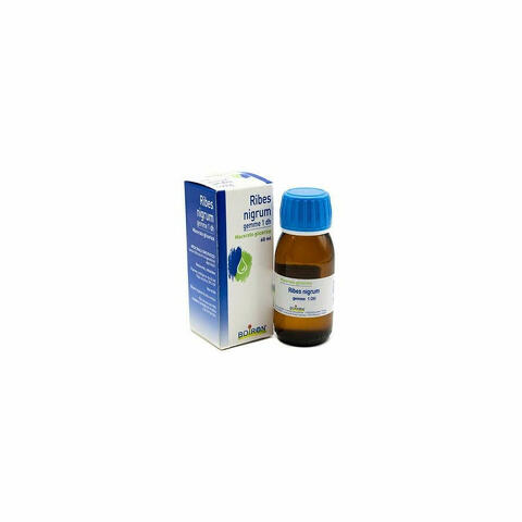 Ribes Nigrum Macerato Glicerico Gemme 1dh 60ml