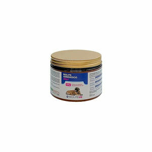  - Biolife Amminodog Adult 350G