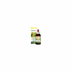 Erba vita - Fitotree 30ml